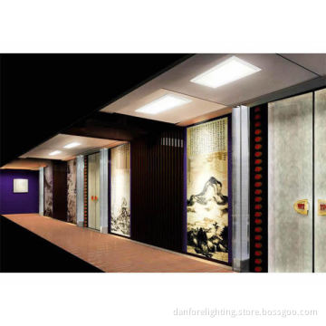 20w LED Panel Light/ 300*600mm RGB LED Panel (DF-LPL-AA-W20-30X60RGB)